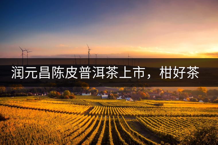 潤元昌陳皮普洱茶上市，柑好茶更好，精品普洱茶