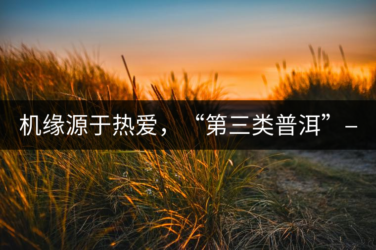 機(jī)緣源于熱愛(ài)，“第三類普洱”——“散壓茶TM”的誕生。