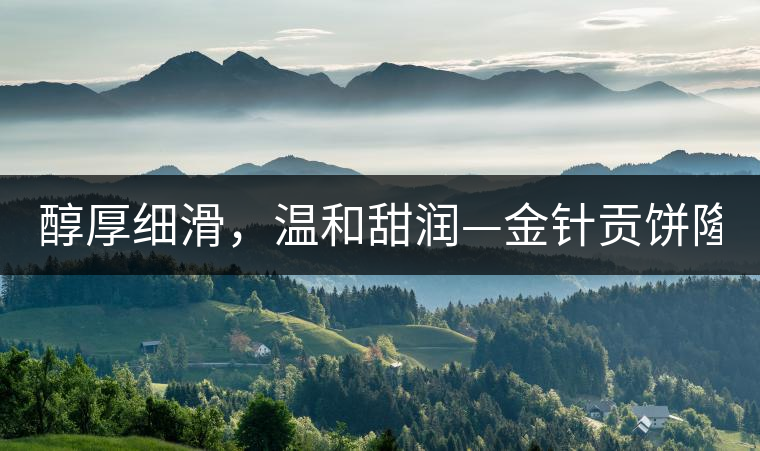 醇厚細(xì)滑，溫和甜潤—金針貢餅隆重上市！
