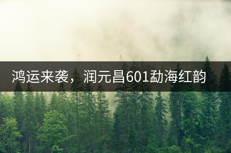 鴻運來襲，潤元昌601勐海紅韻熟茶即將上市