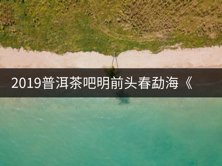 2019普洱茶吧明前頭春勐?！对鹿獍住钒撞鑳?yōu)惠訂購