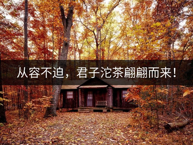 從容不迫，君子沱茶翩翩而來！