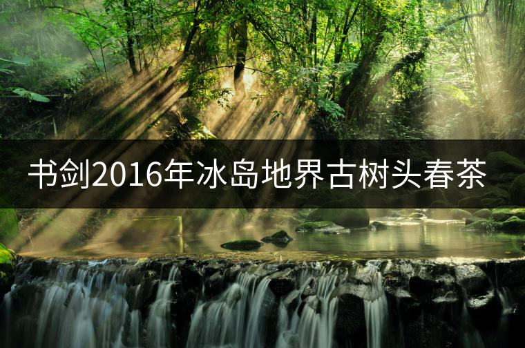 書劍2016年冰島地界古樹頭春茶隆重上市！