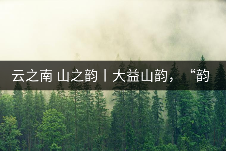 云之南 山之韻丨大益山韻，“韻”味傳奇之山韻歸來