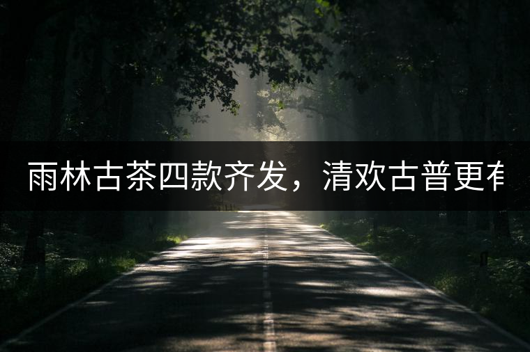 雨林古茶四款齊發(fā)，清歡古普更有味！