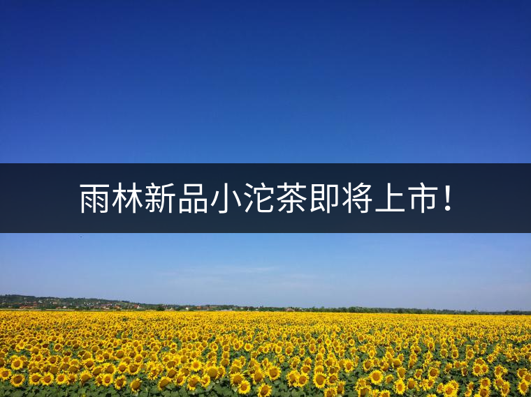 雨林新品小沱茶即將上市！