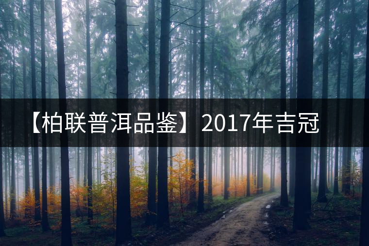 【柏聯(lián)普洱品鑒】2017年吉冠鳳羽 【柏聯(lián)普洱品鑒】2017年吉冠鳳羽