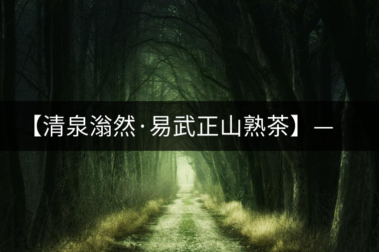 【清泉滃然·易武正山熟茶】——熨帖冬季的寒冷，來(lái)的正是時(shí)候！