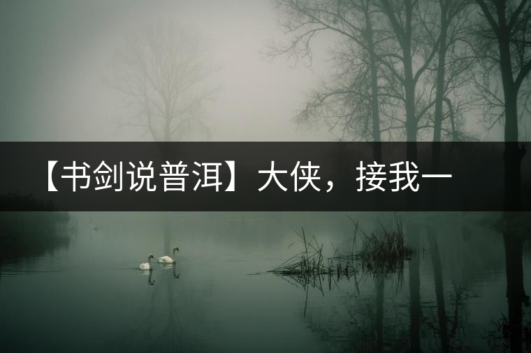 【書劍說普洱】大俠，接我一棒