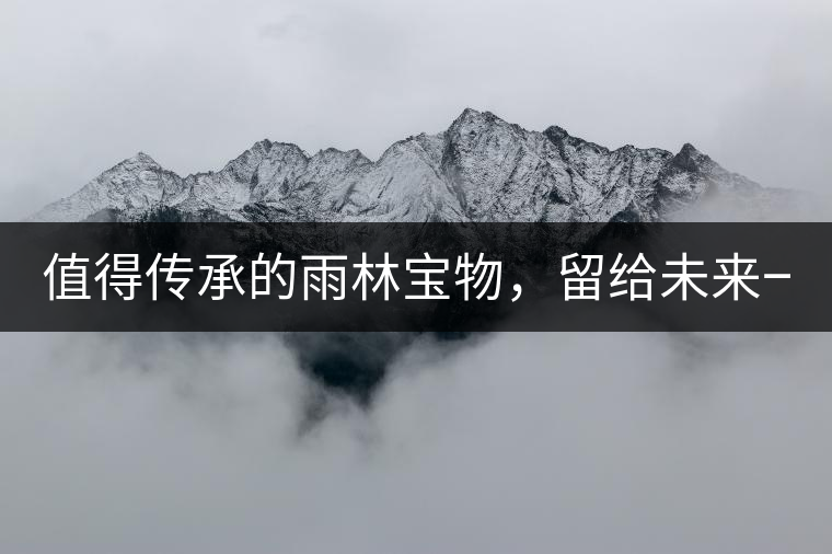 值得傳承的雨林寶物，留給未來一點(diǎn)“回甘”！