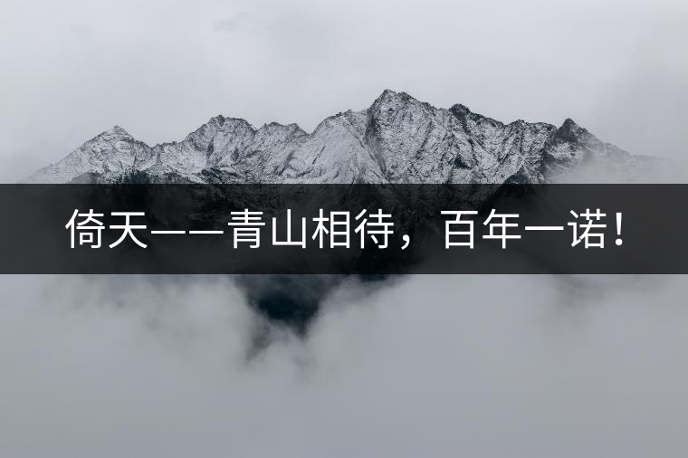 倚天——青山相待，百年一諾！