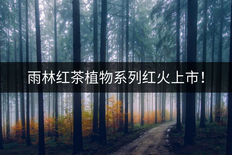 雨林紅茶植物系列紅火上市！