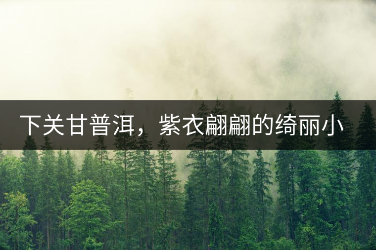 下關(guān)甘普洱，紫衣翩翩的綺麗小餅