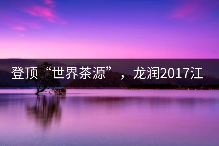 登頂“世界茶源”，龍潤2017江城茶上市啦！