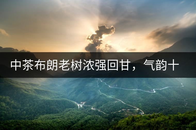 中茶布朗老樹(shù)濃強(qiáng)回甘，氣韻十足