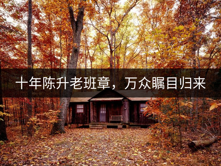 十年陳升老班章，萬(wàn)眾矚目歸來(lái)