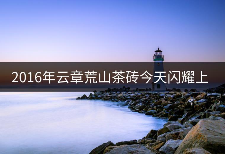 2016年云章荒山茶磚今天閃耀上市！