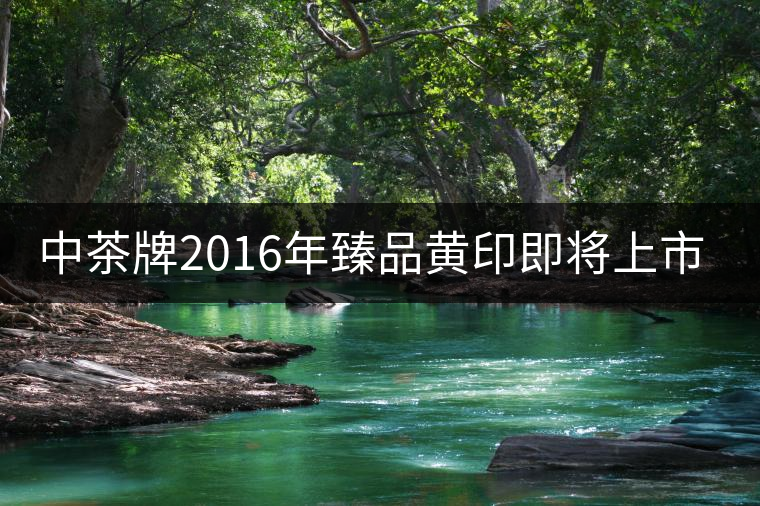 中茶牌2016年臻品黃印即將上市！