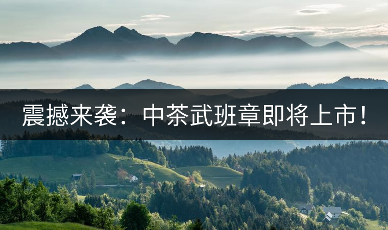 震撼來(lái)襲：中茶武班章即將上市！