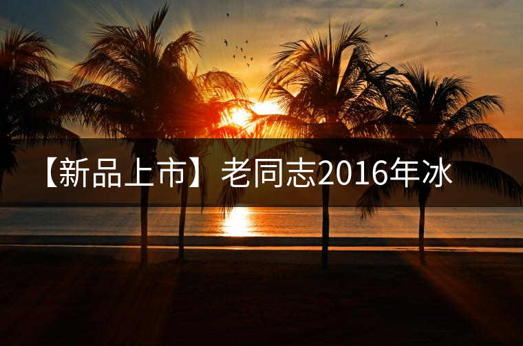 【新品上市】老同志2016年冰島地界