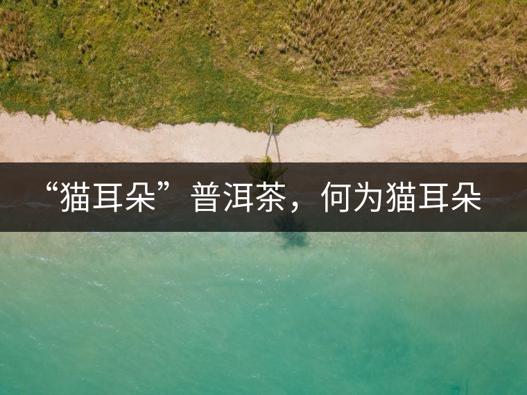“貓耳朵”普洱茶，何為貓耳朵？