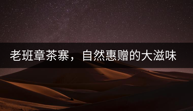 老班章茶寨，自然惠贈的大滋味，大滿足