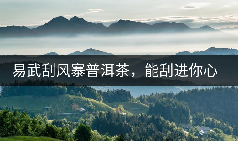易武刮風(fēng)寨普洱茶，能刮進(jìn)你心中的一道風(fēng)