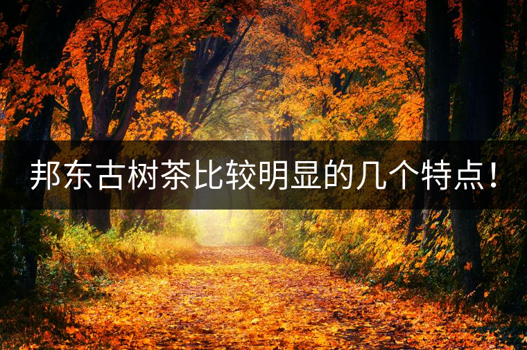 邦東古樹茶比較明顯的幾個特點！