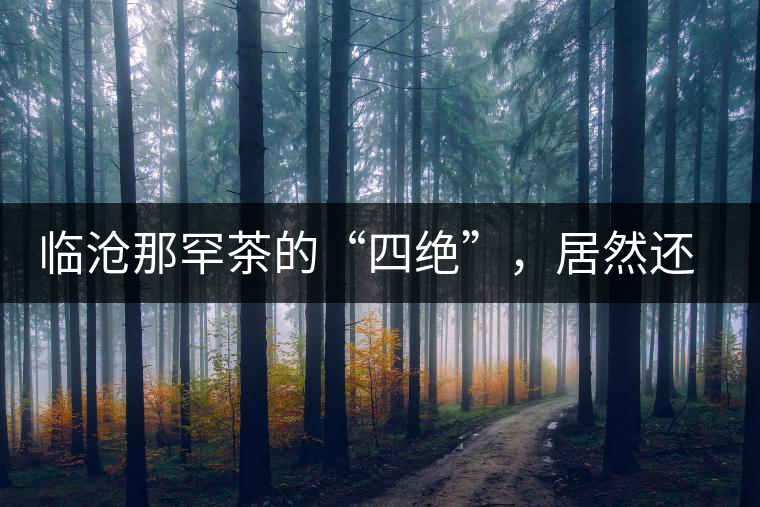 臨滄那罕茶的“四絕”，居然還沒說到它的品質(zhì)