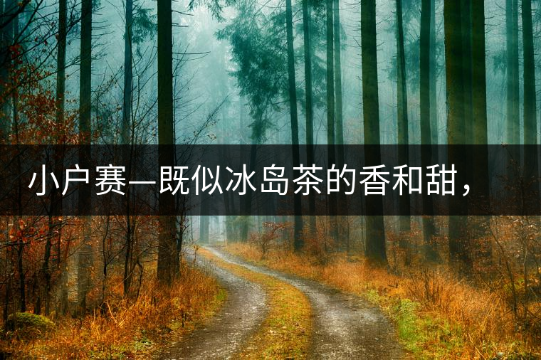 小戶賽—既似冰島茶的香和甜，又有其獨特的純和凈