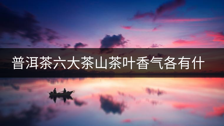 普洱茶六大茶山茶葉香氣各有什么特點(diǎn)？