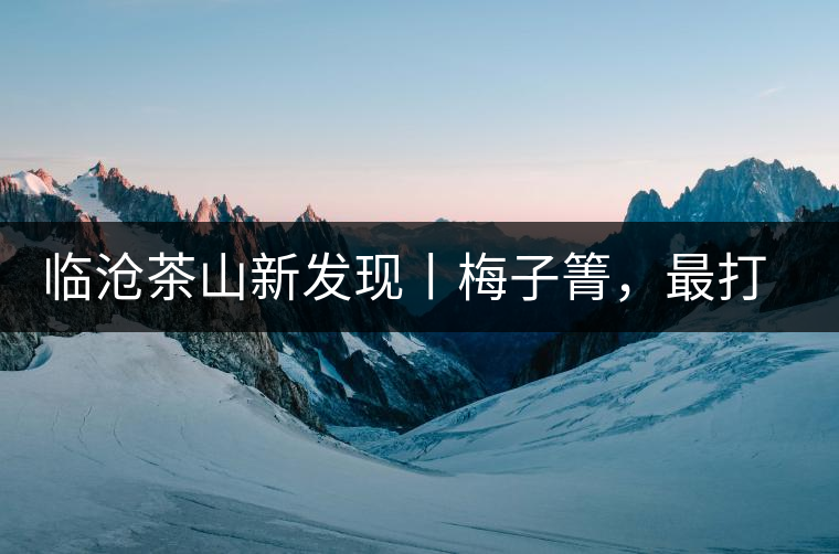 臨滄茶山新發(fā)現(xiàn)丨梅子箐，最打動(dòng)自己的茶山