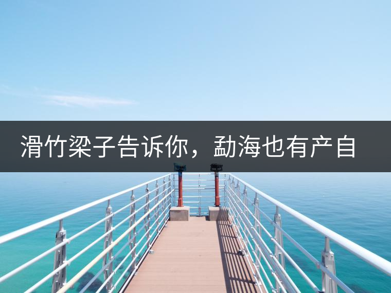 滑竹梁子告訴你，勐海也有產(chǎn)自國有林里的好茶！