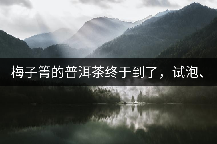 梅子箐的普洱茶終于到了，試泡、、、