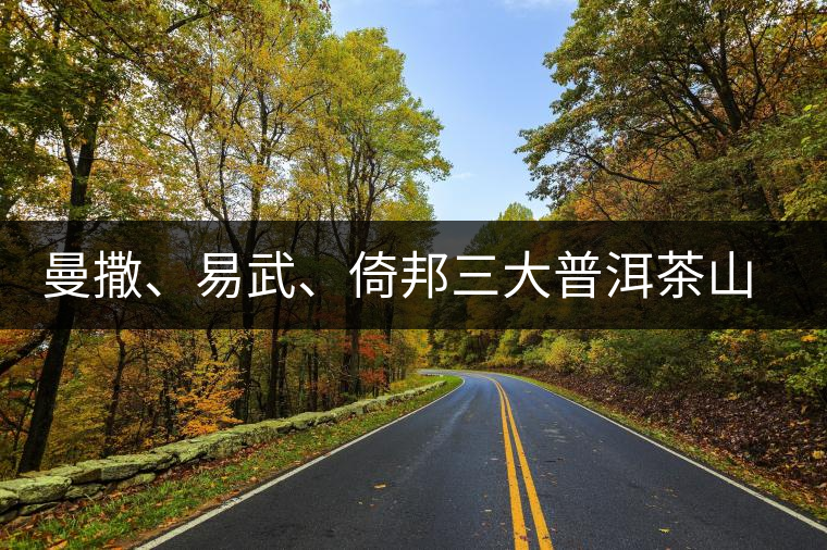 曼撒、易武、倚邦三大普洱茶山的品質(zhì)特點