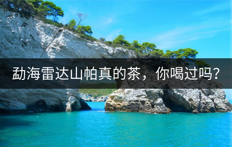 勐海雷達山帕真的茶，你喝過嗎？