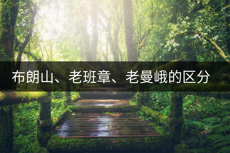 布朗山、老班章、老曼峨的區(qū)分和鑒別