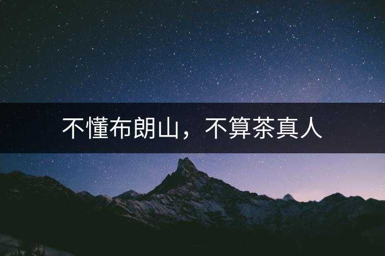 不懂布朗山，不算茶真人