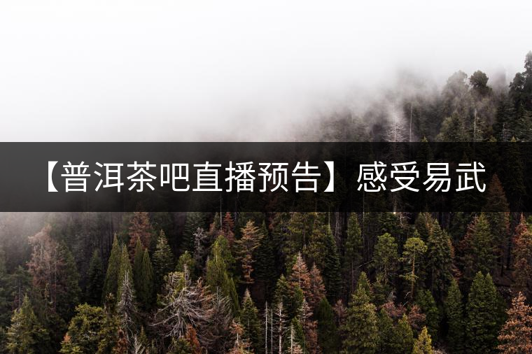 【普洱茶吧直播預告】感受易武刮風寨普洱茶的轉化（第十四期）