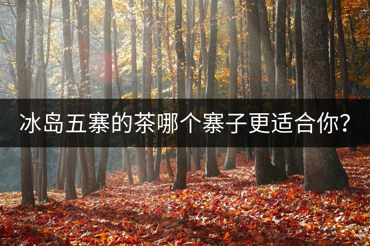 冰島五寨的茶哪個(gè)寨子更適合你？