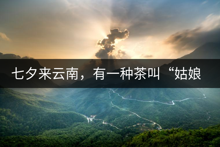 七夕來(lái)云南，有一種茶叫“姑娘茶”，也許你就能遇上