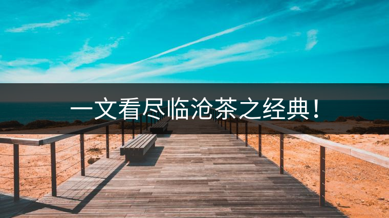 一文看盡臨滄茶之經(jīng)典！