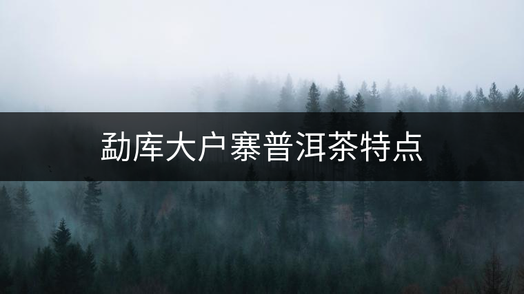 勐庫大戶寨普洱茶特點