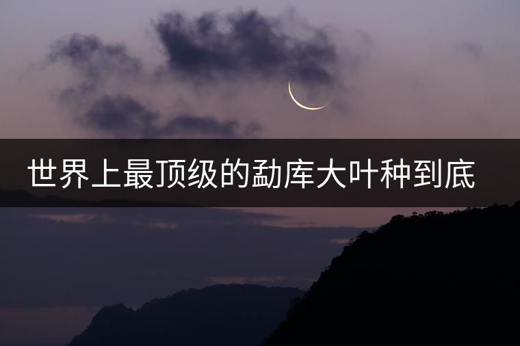 世界上最頂級(jí)的勐庫(kù)大葉種到底是什么？這篇文章講透了