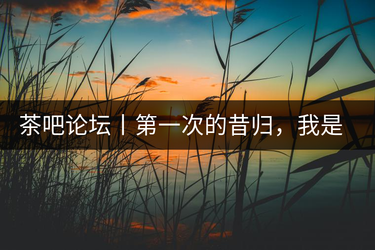 茶吧論壇丨第一次的昔歸，我是這樣喝到的