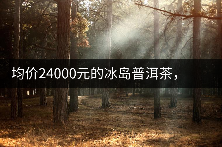 均價(jià)24000元的冰島普洱茶，不是誰(shuí)都喝的出的涼感