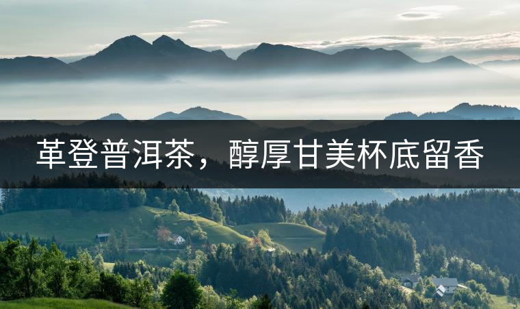 革登普洱茶，醇厚甘美杯底留香