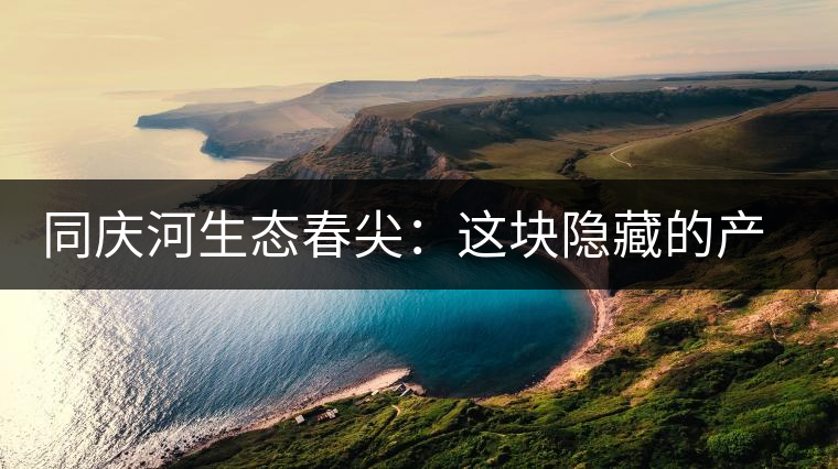 同慶河生態(tài)春尖：這塊隱藏的產(chǎn)茶圣地，你知道嗎？