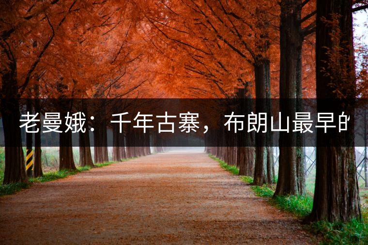 老曼娥：千年古寨，布朗山最早的民族！