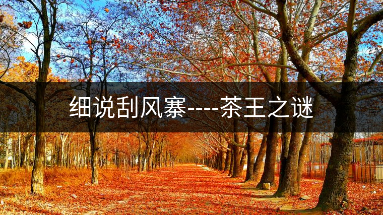 細說刮風(fēng)寨----茶王之謎 細說刮風(fēng)寨----茶王之謎